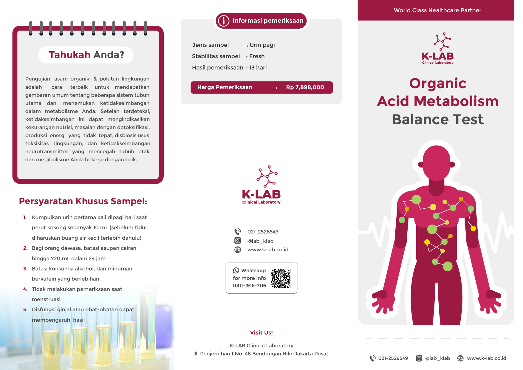 LEAFLET_Organic acid metabolism balance-01